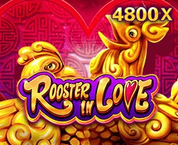 Rooster In Love - TITANBET138